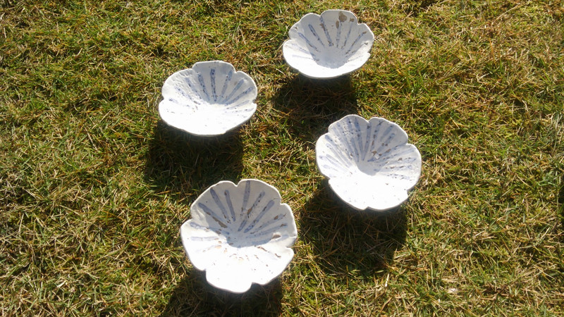 Dcim0783_2 Dcim0783_2