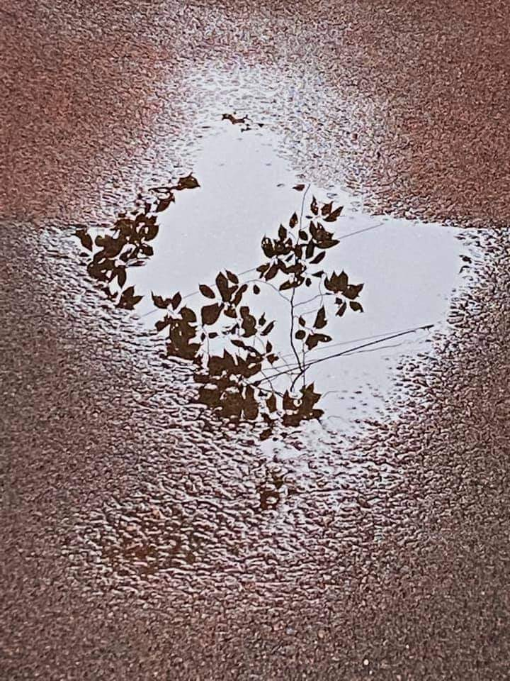 Fb_img_1598142862262