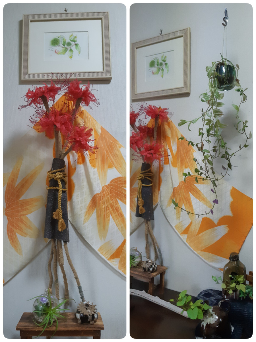 200924153433129_deco