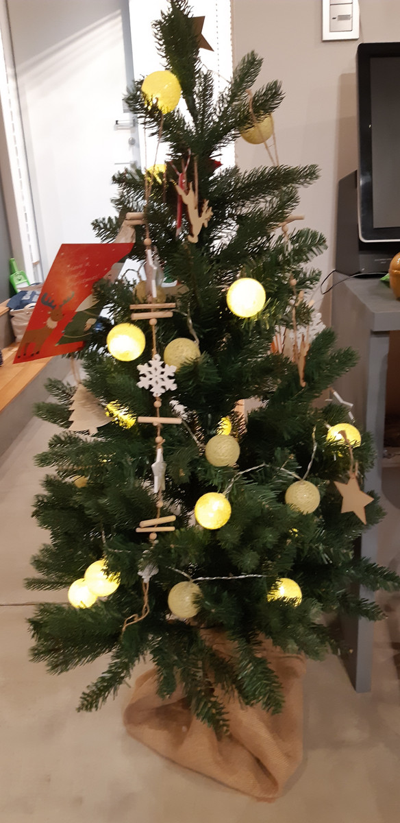 20201225_193720 20201225_193720