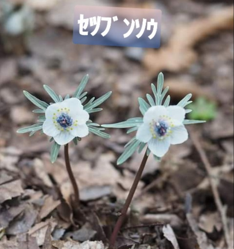 20210203_094339 20210203_094339