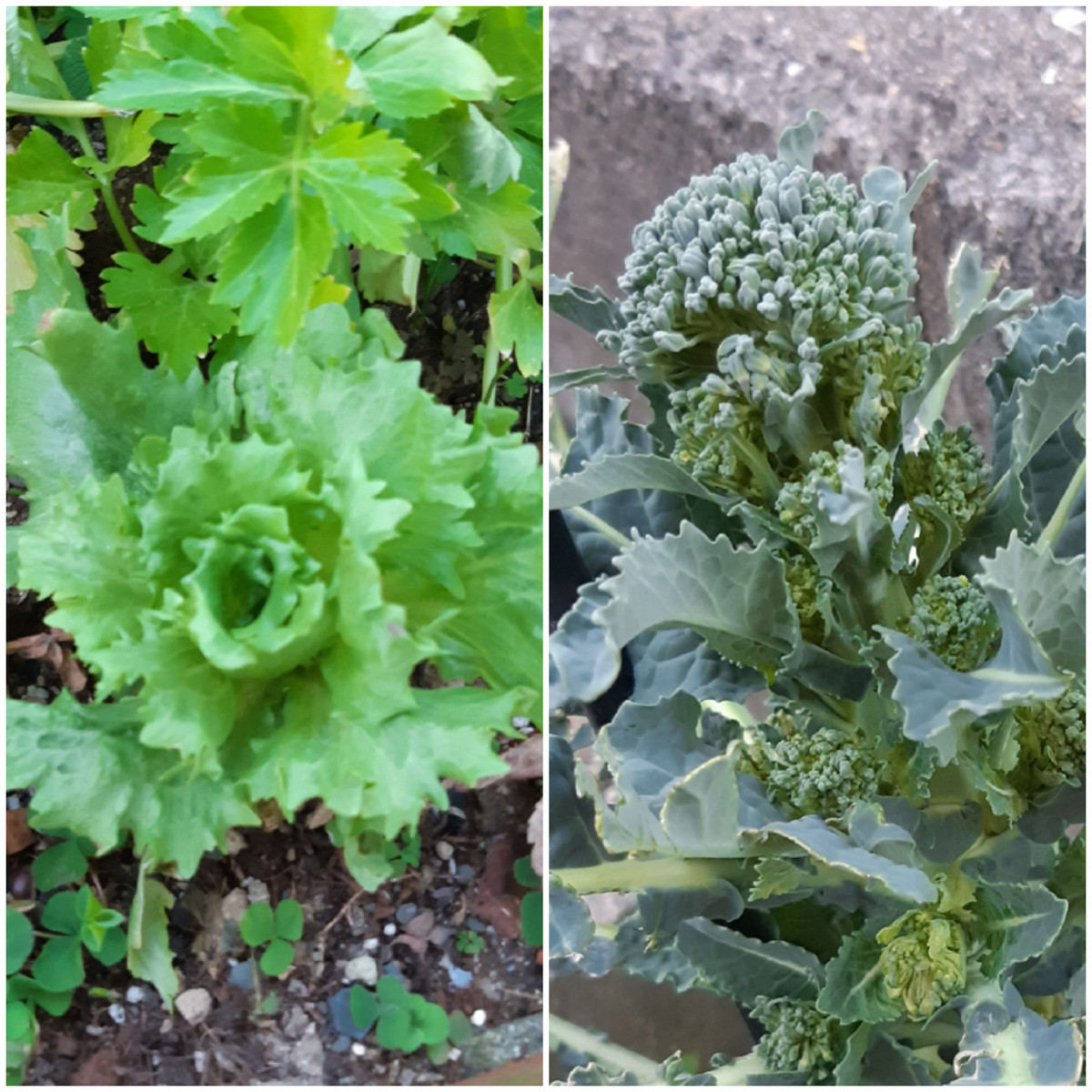 20210222_180141 20210222_180141