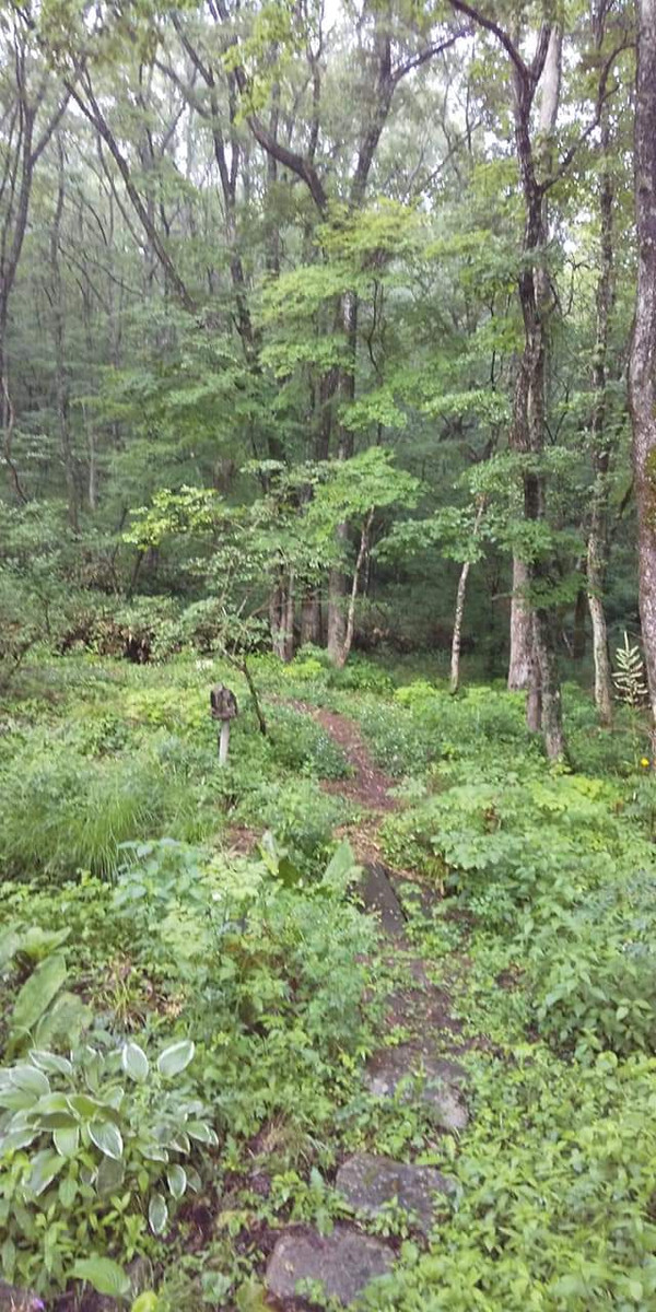 Fb_img_1627044418161