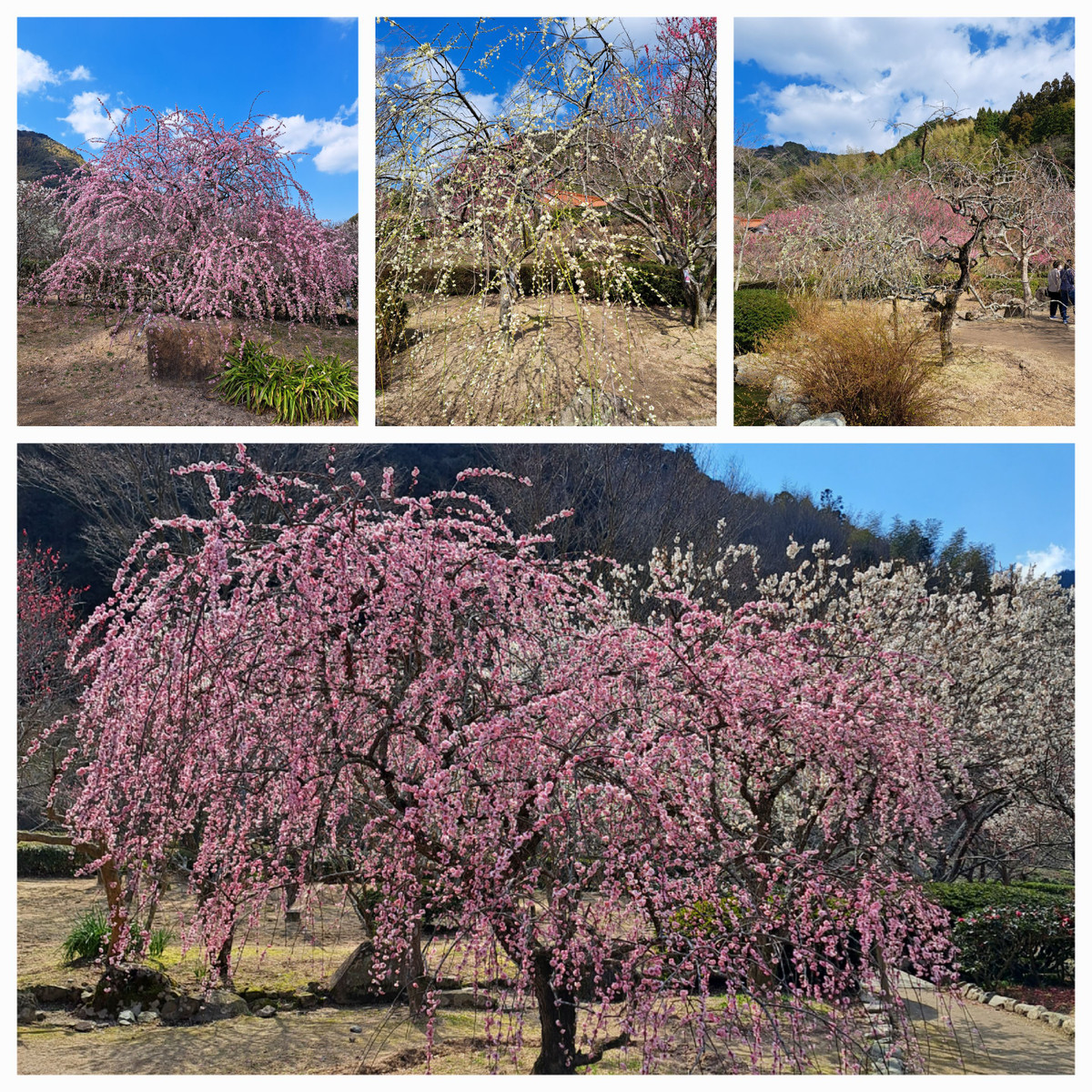 20230228_204613 20230228_204613