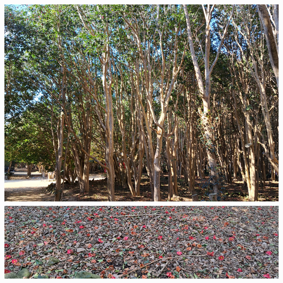 20230228_204710 20230228_204710