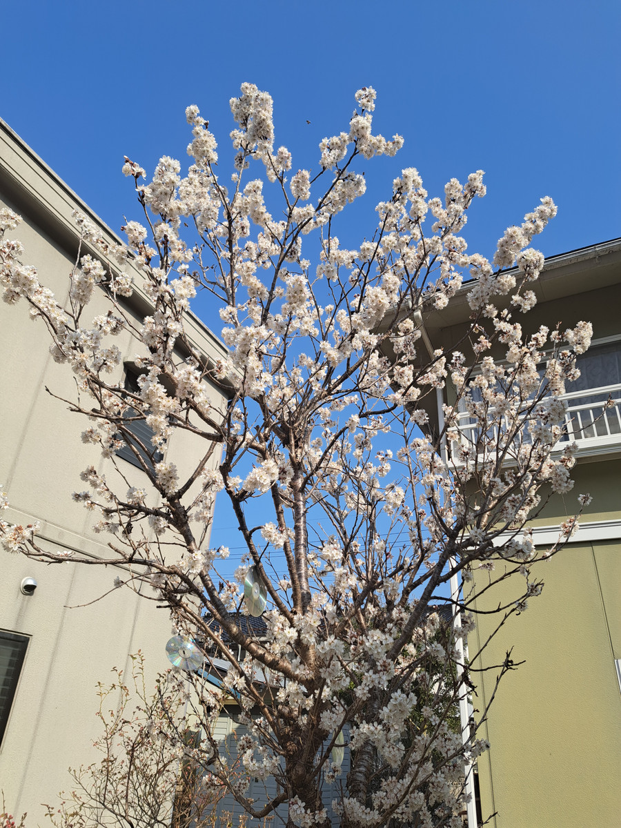 20230307_095845 20230307_095845