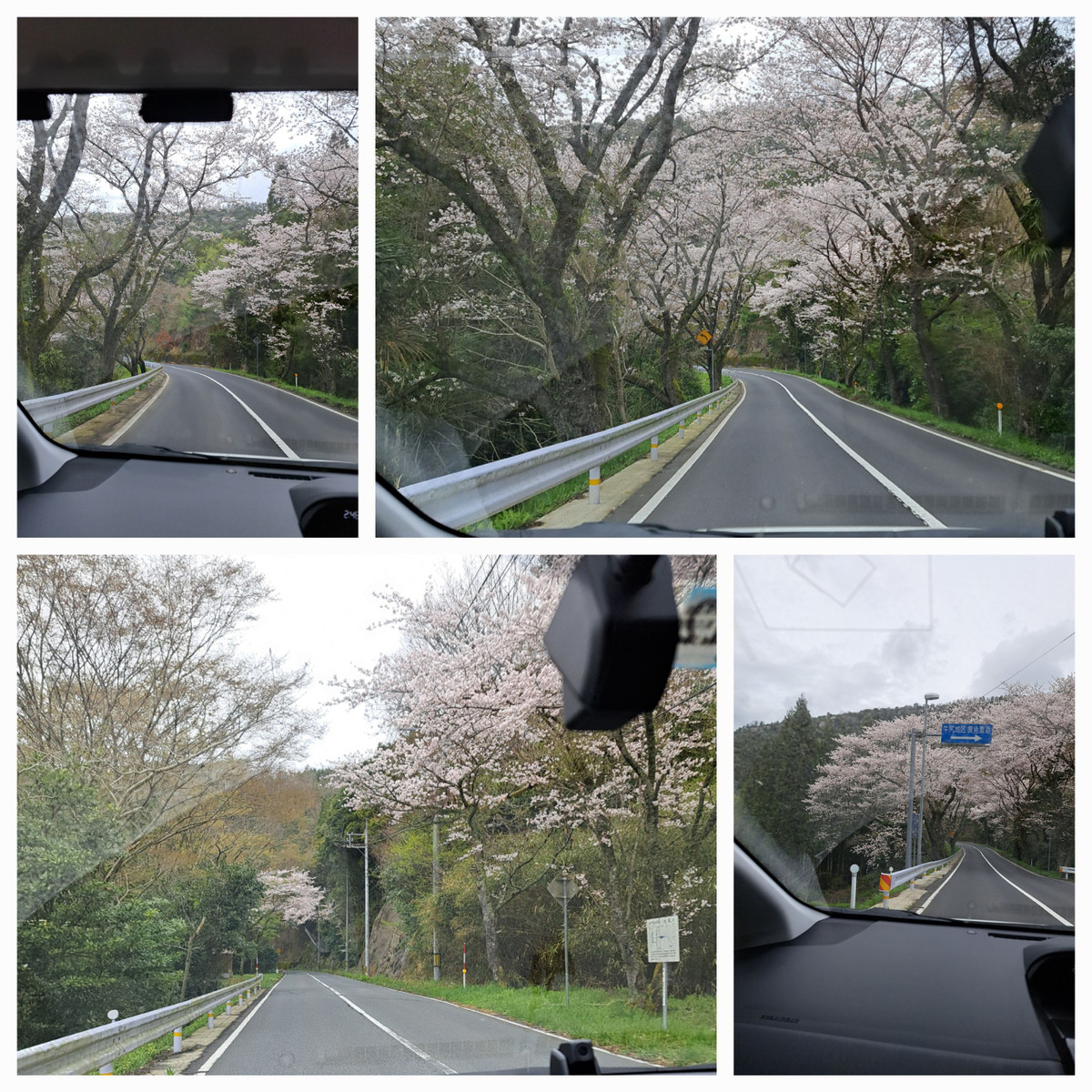 20230326_221352 20230326_221352