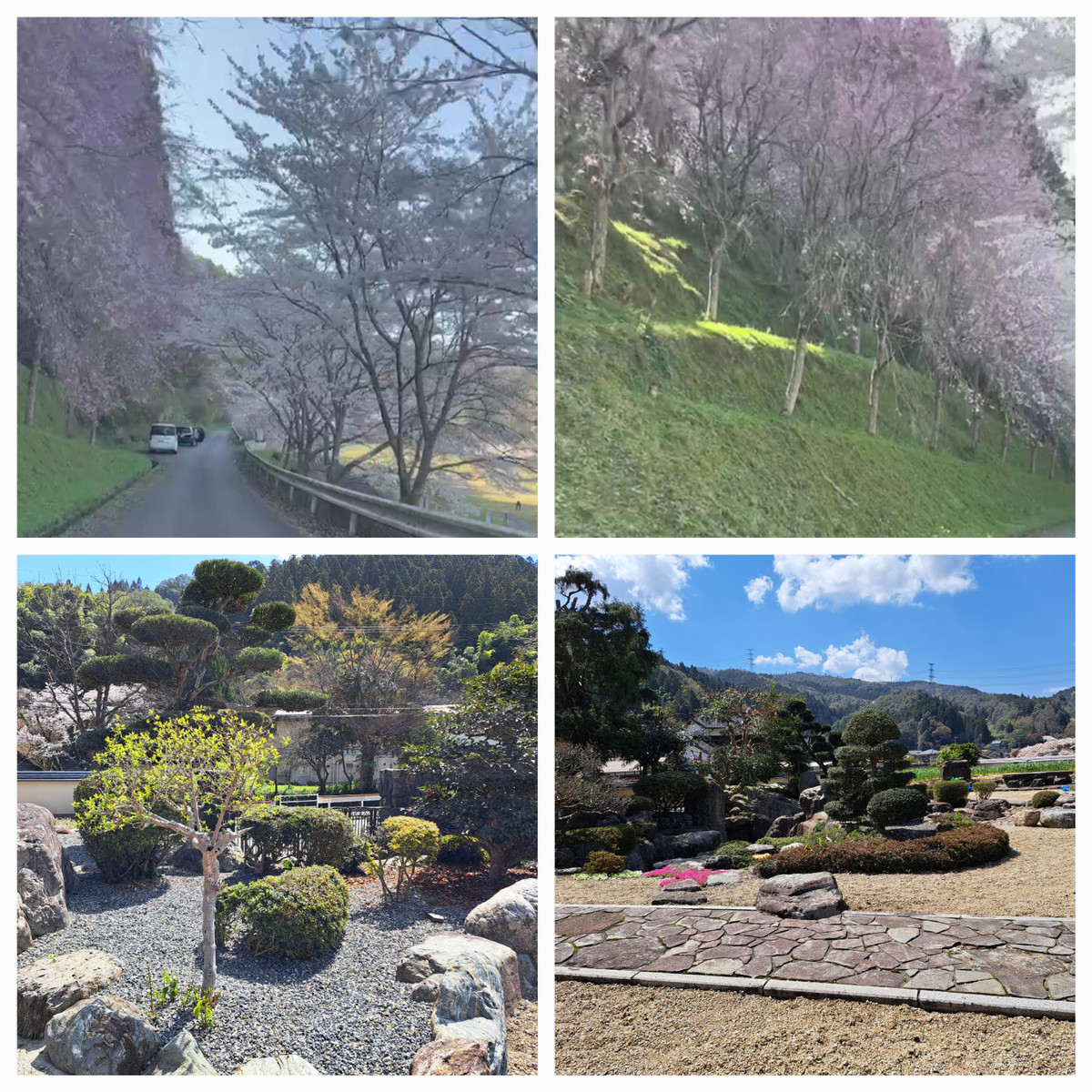 20230328_190410 20230328_190410