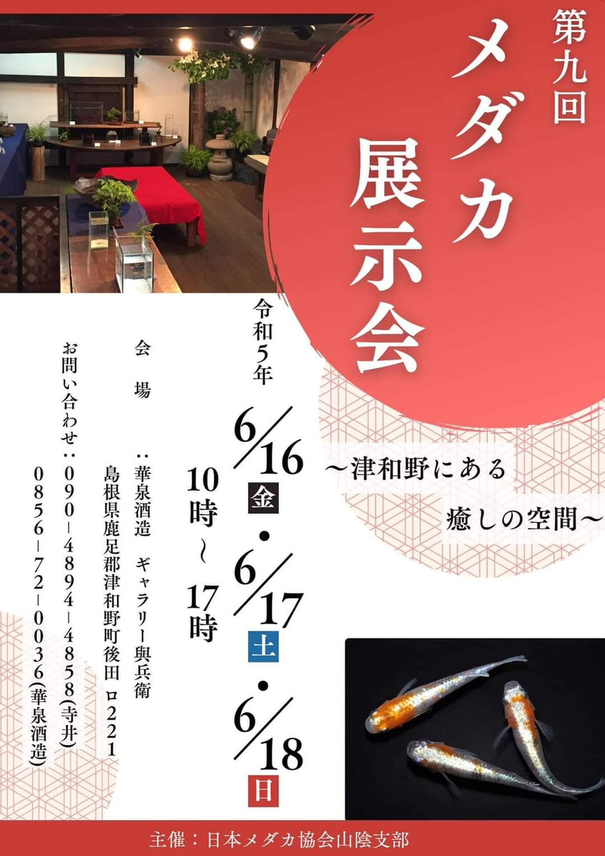 Fb_img_1686742813245